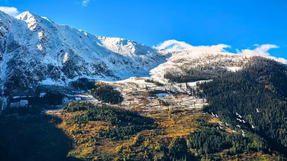 Narkanda is One of the best places to visit in Shimla In December