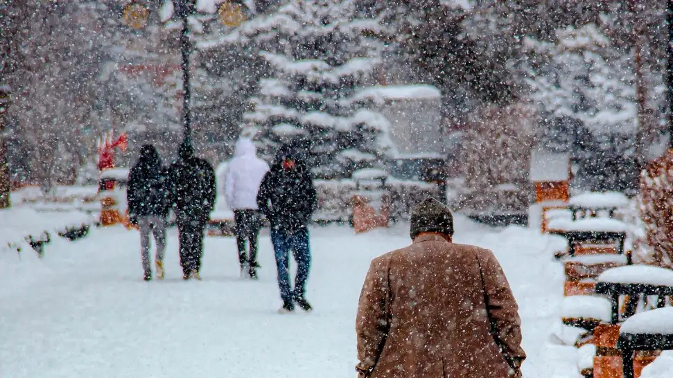 One of The Best Snowfall Places In Kasauli