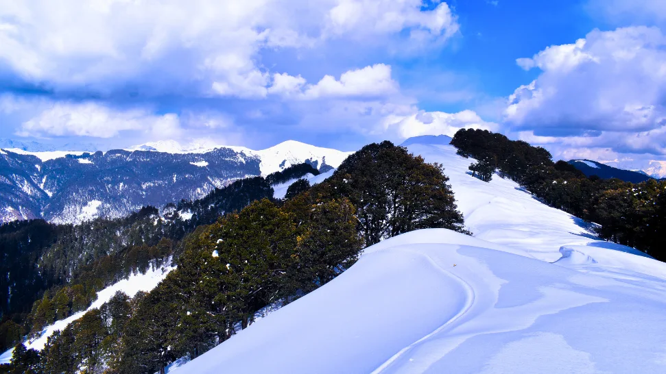 Jalori Pass snow covered forest trail in Kullu