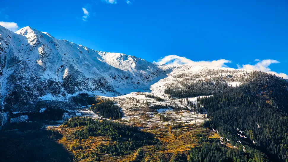 Narkanda snowfall view from Hatu Peak with apple orchards