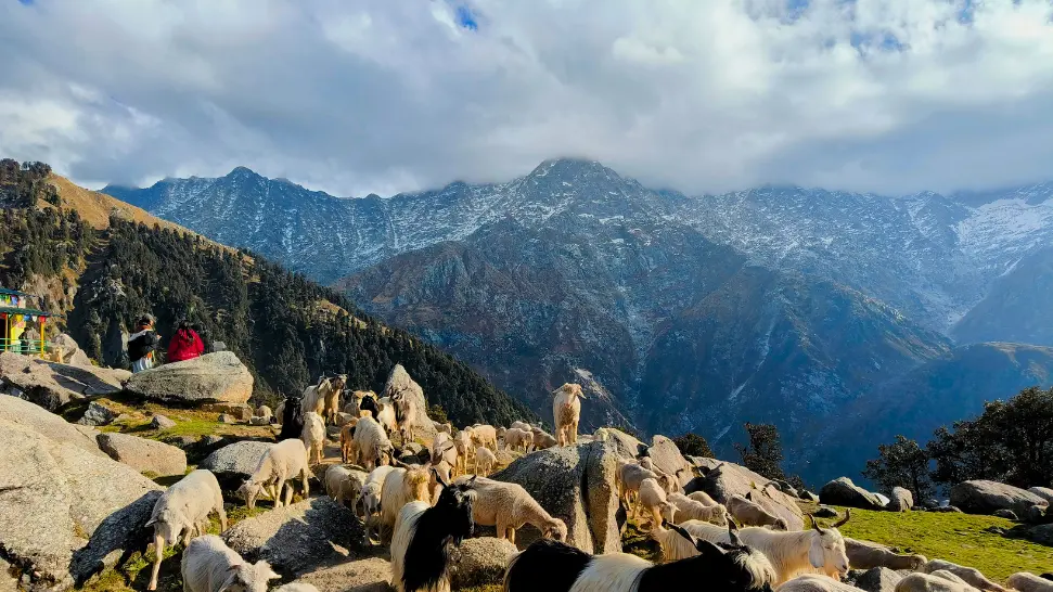 Himachal