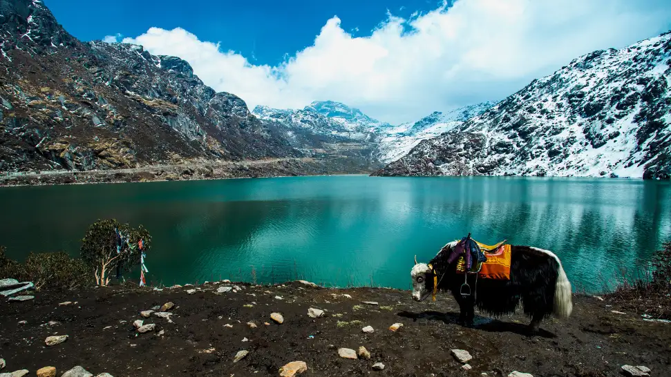 Sikkim
