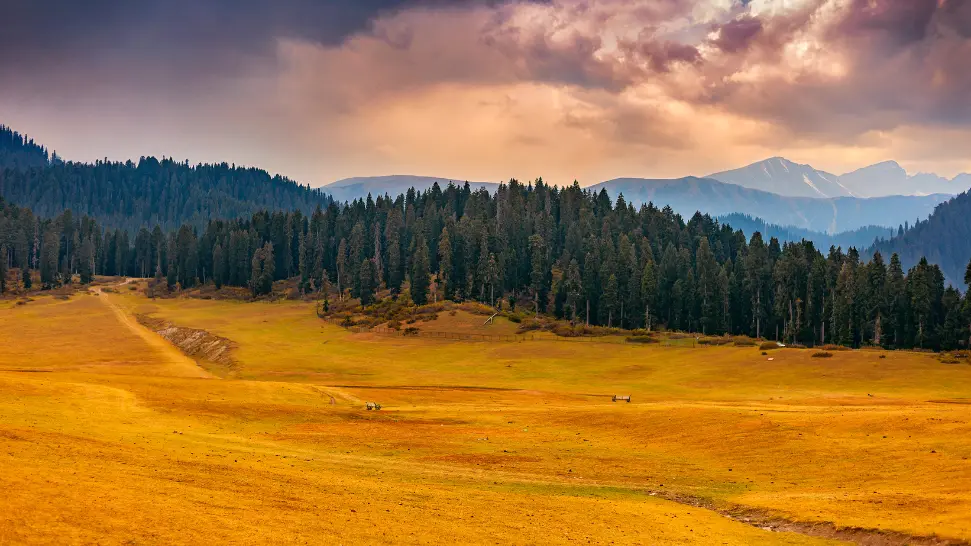 Doodhpathri is one of the best places to visit in Srinagar