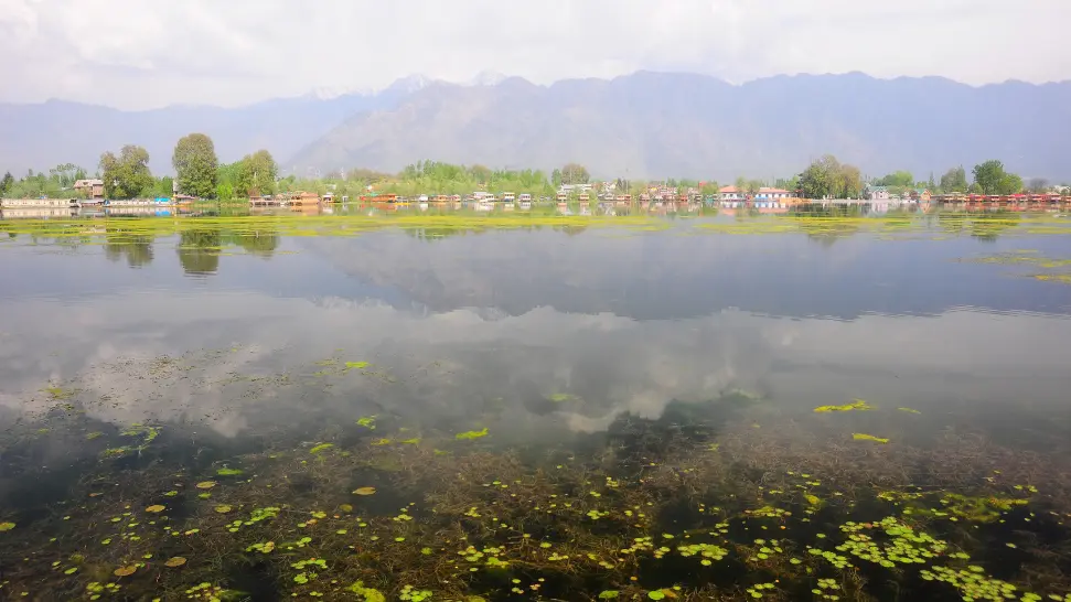 Nigeen Lake is one of the best places to visit in Srinagar