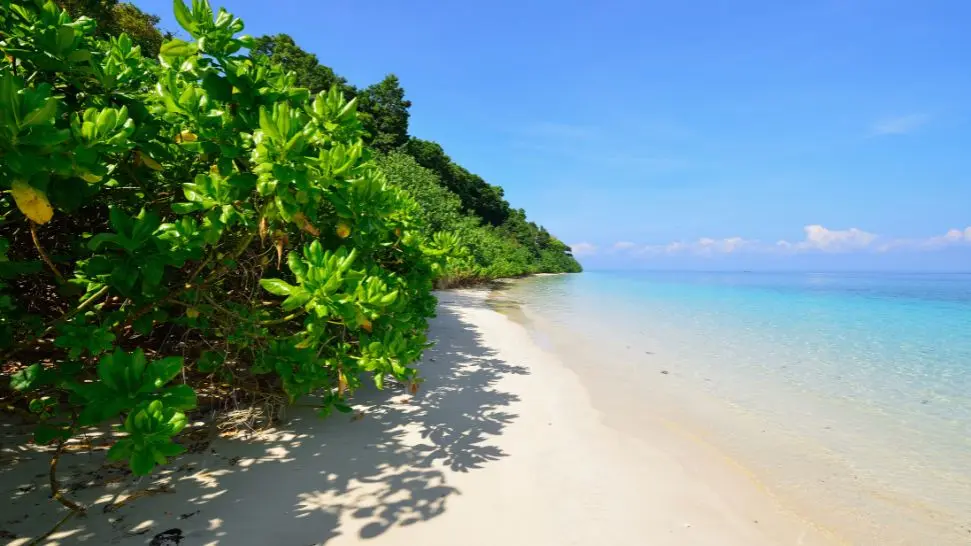 Andaman & Nicobar Islands: Coral Paradise