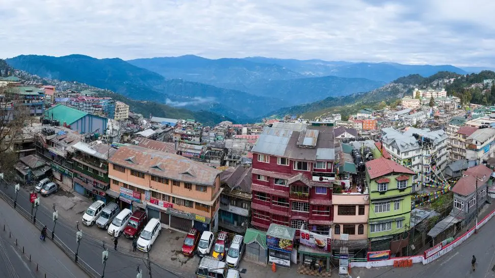 Darjeeling: Tea Plantation Vistas
