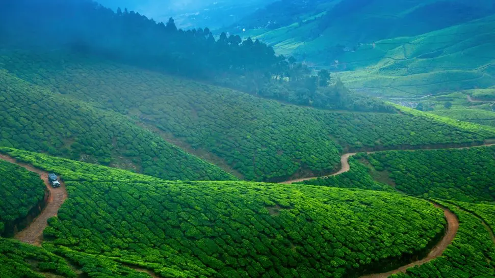 Munnar: Picturesque Hill Retreat