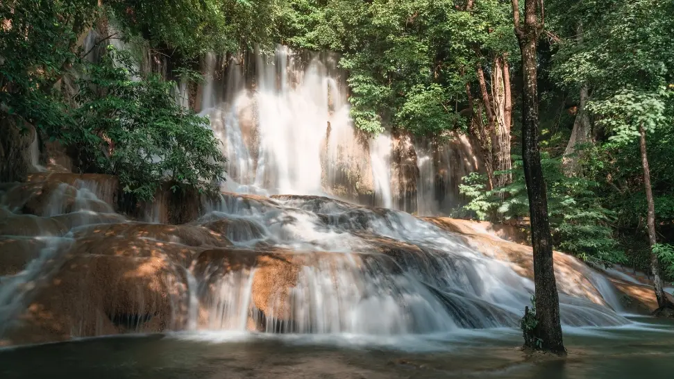 Activities In The Misty Rainforest Near Coorg