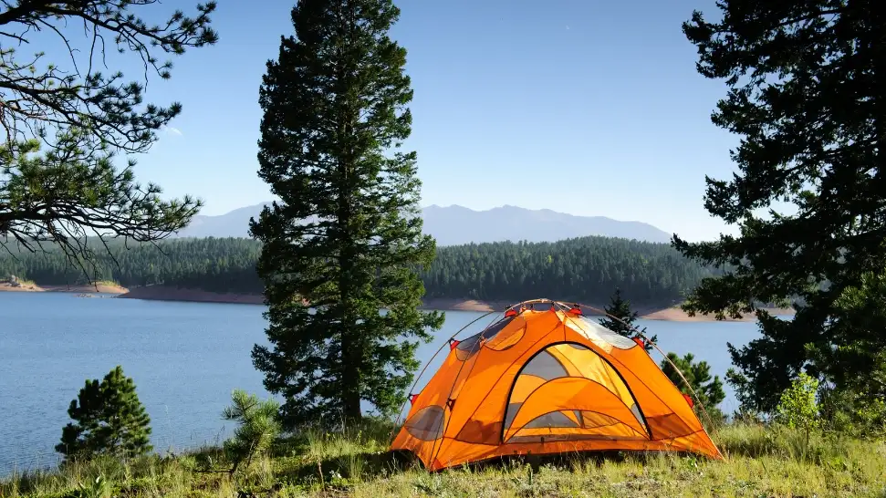 Camping- Best things to do in Coorg