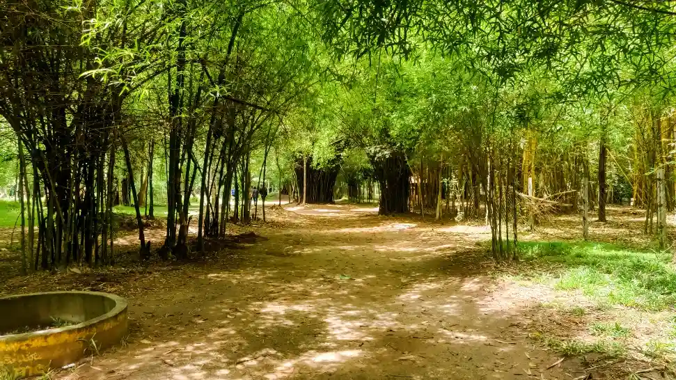 Nisargadhama