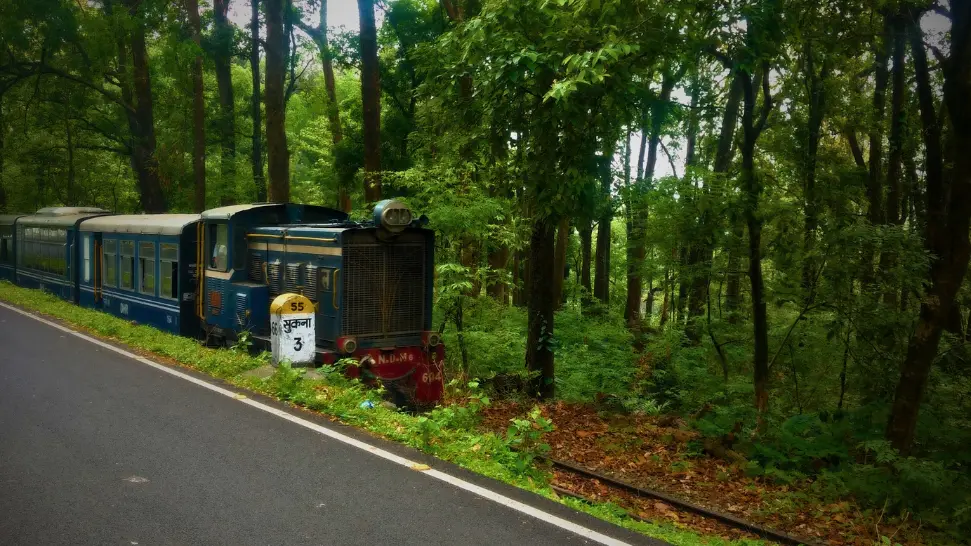 Darjeeling Himalayan Railway is one of the best things to Do in Darjeeling