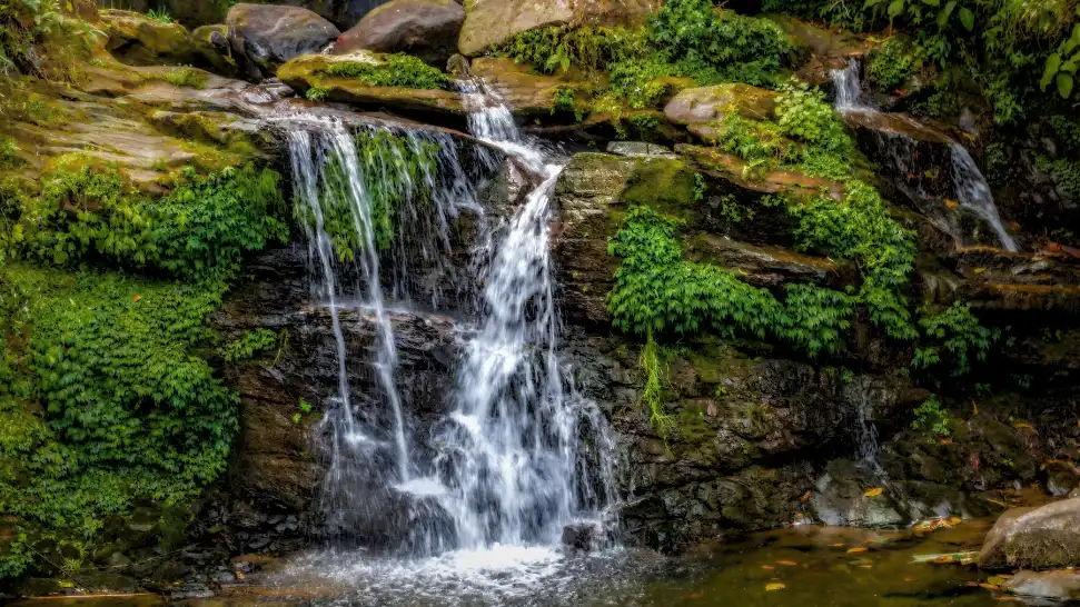 Rock Garden is one of the best things to Do in Darjeeling