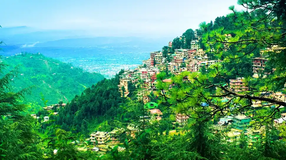 The Best Things to Do in Dharamshala