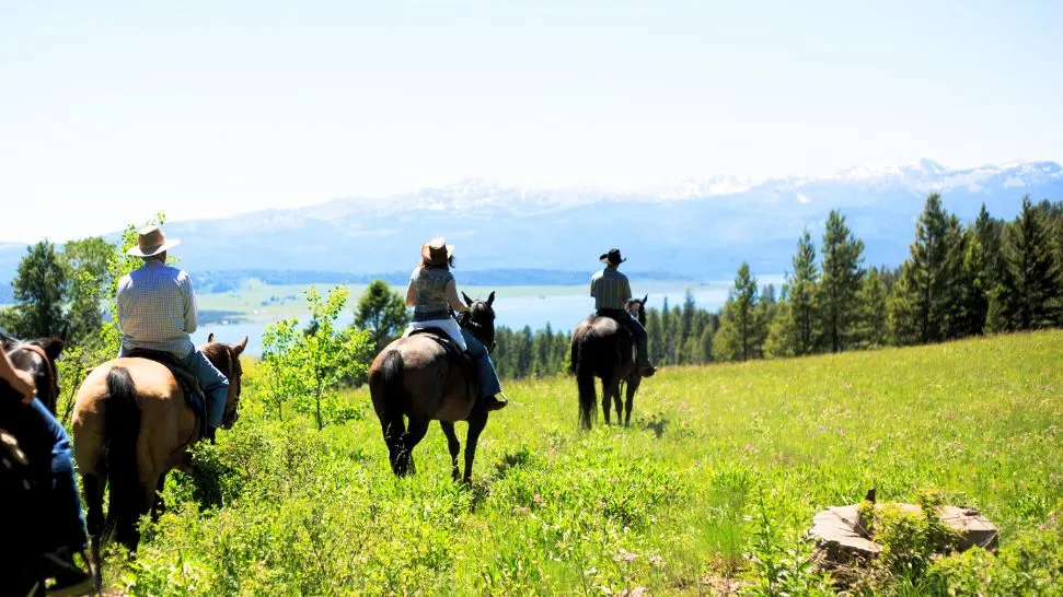 Horse Riding is One of The Best Things to do in Kashmir