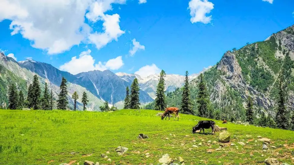 Photography is One of The Best Things to do in Kashmir