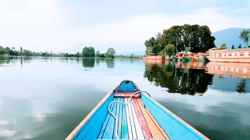 Shikara ride is one of the best things to do in Kashmir