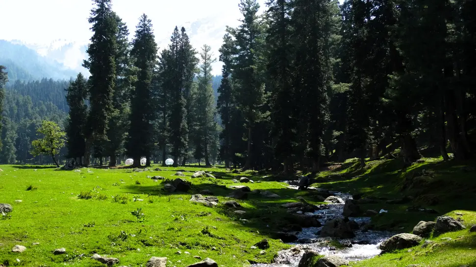 Himalayan National Park is One of The Best Things to Do in Kahmir in July