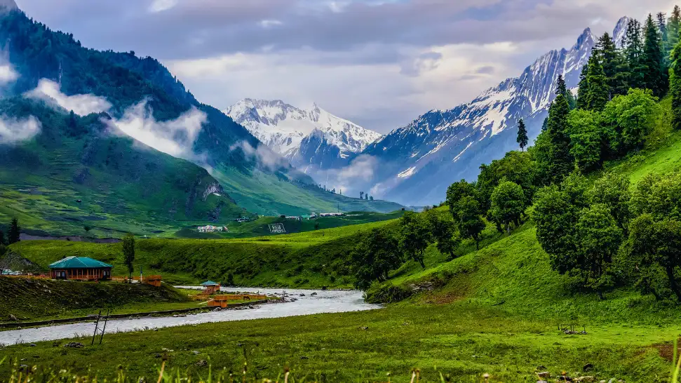 Meadow of Gold is One of The Best Things to Do in Kahmir in July