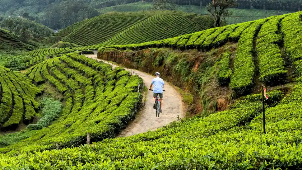 Mountain Biking In Western Ghats is One of The Best Things to Do in Munnar