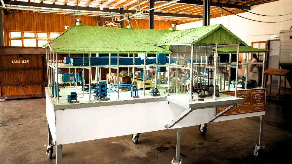 Visit The Tea Museum is One of The Best Things to Do in Munnar