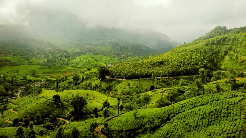 Watch The Beauty Of The City From Pothamedu View Point is One of The Best Things to Do in Munnar