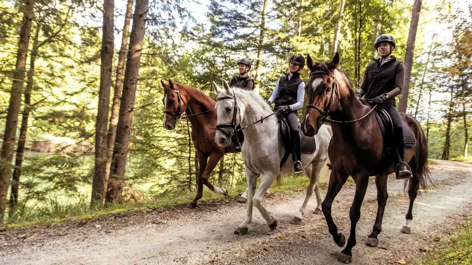 Horse Riding is one of the best Things to Do in Nainital 