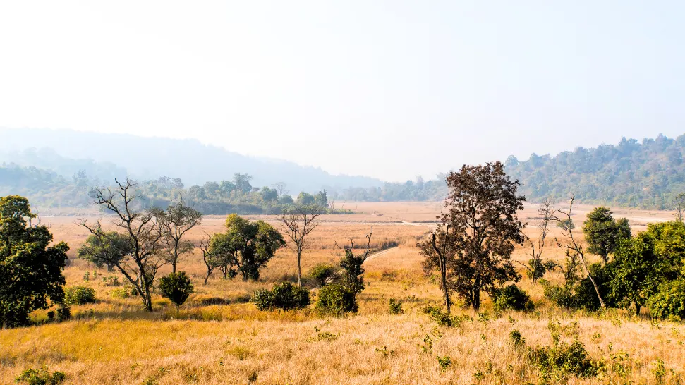 Wildlife Safari at Rajaji National Park