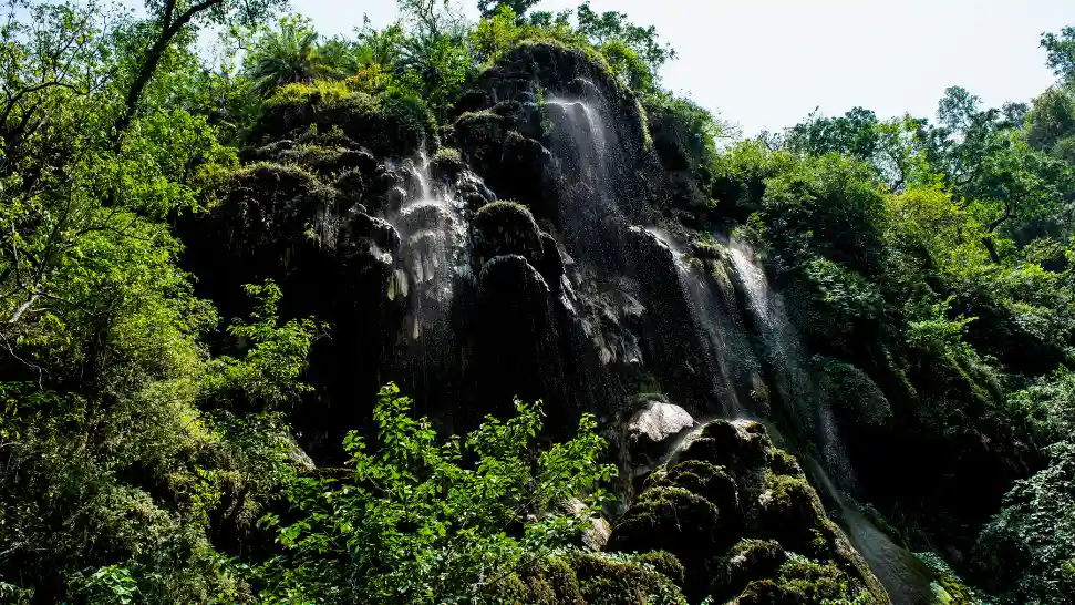 Trek to Patna Waterfall