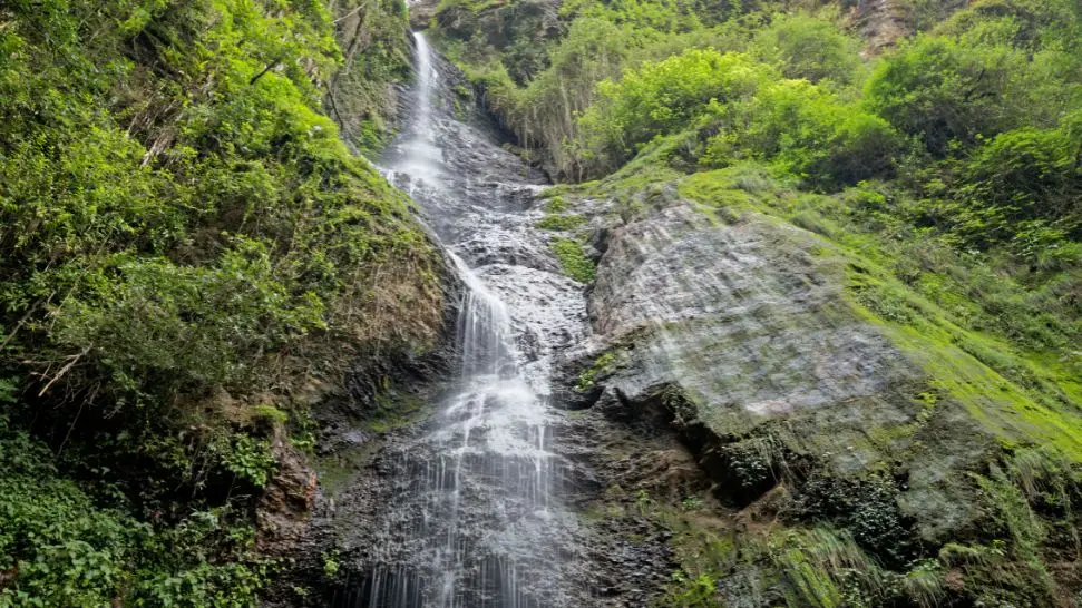  Chadwick Waterfall is one of the best things to do in Shimla