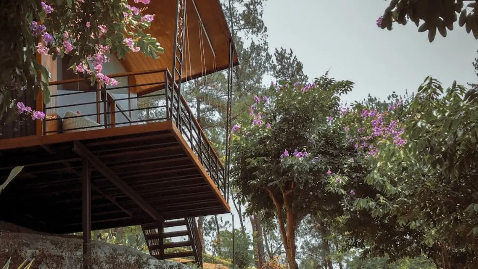 Cottage Stay is one of the best things to do in Shimla