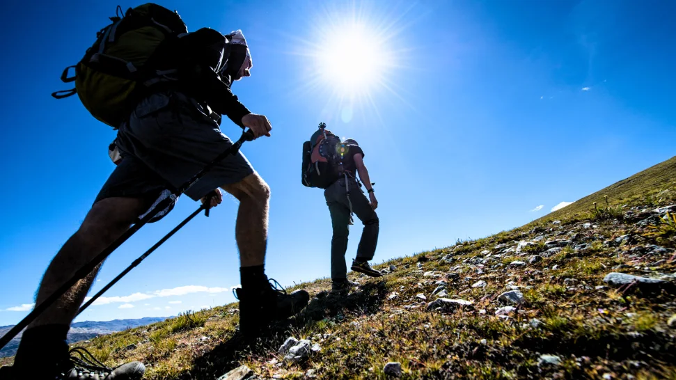Trekking is one of the best things to Do in Shimla in june