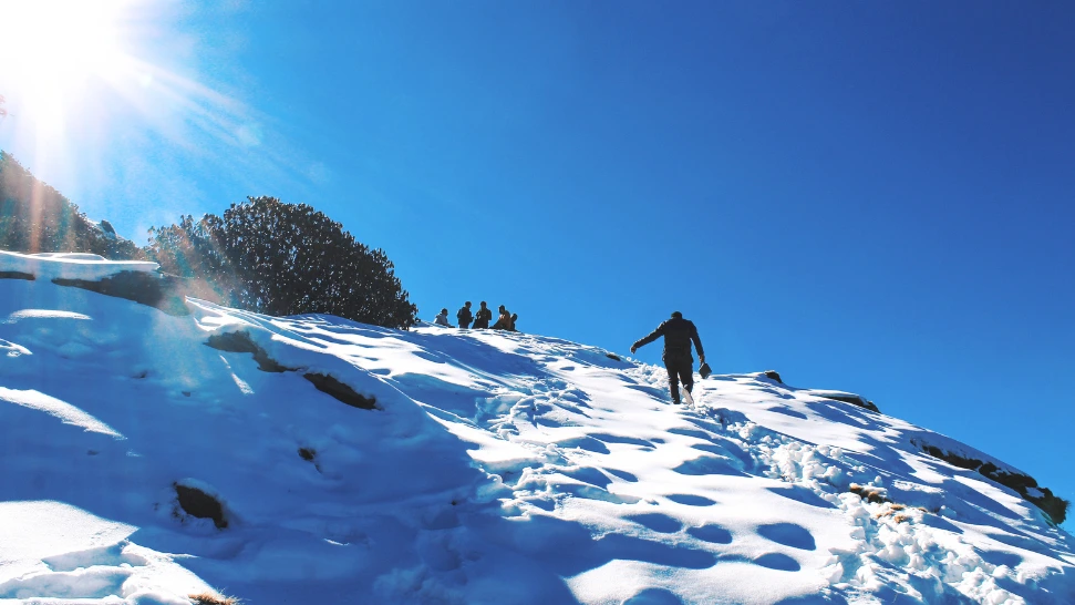 Snow trekking in Himachal on forest mountain trail
