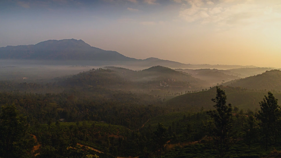 Kalladi Forest is One of The Best Things to Do Wayanad