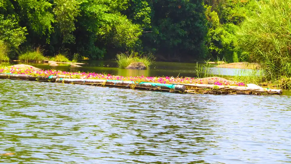 Kuruva Island is One of The Best Things to Do Wayanad