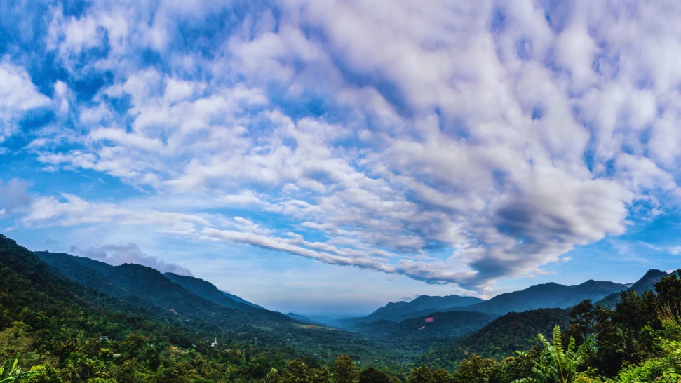 Neelimala View Point is One of The Best Things to Do Wayanad