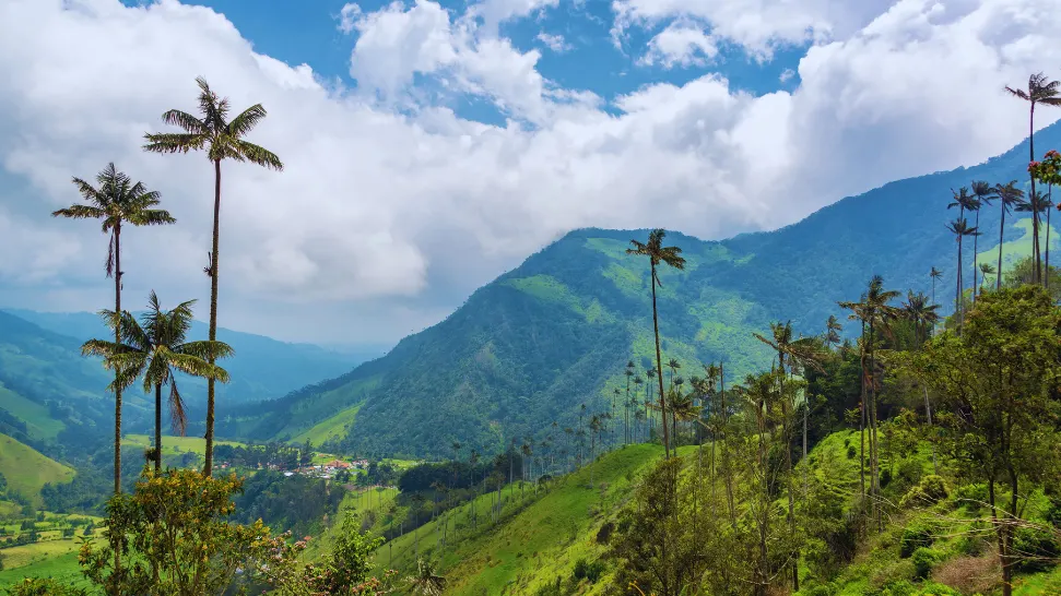 Sahibkkunnu And Valley Of Clouds is One of The Best Things to Do Wayanad