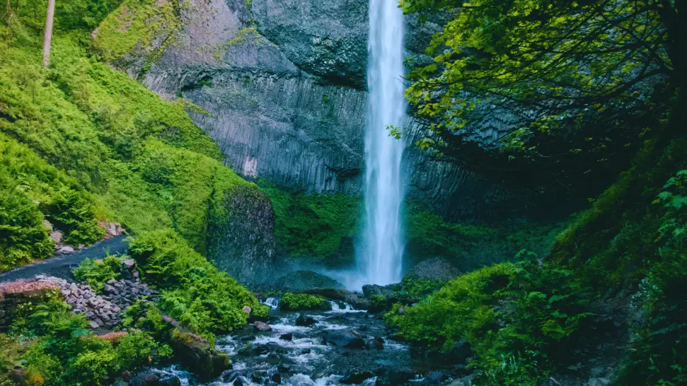 Soochipara Falls is One of The Best Things to Do Wayanad