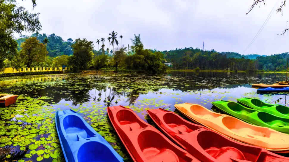 One of The Best Things to Do Wayanad