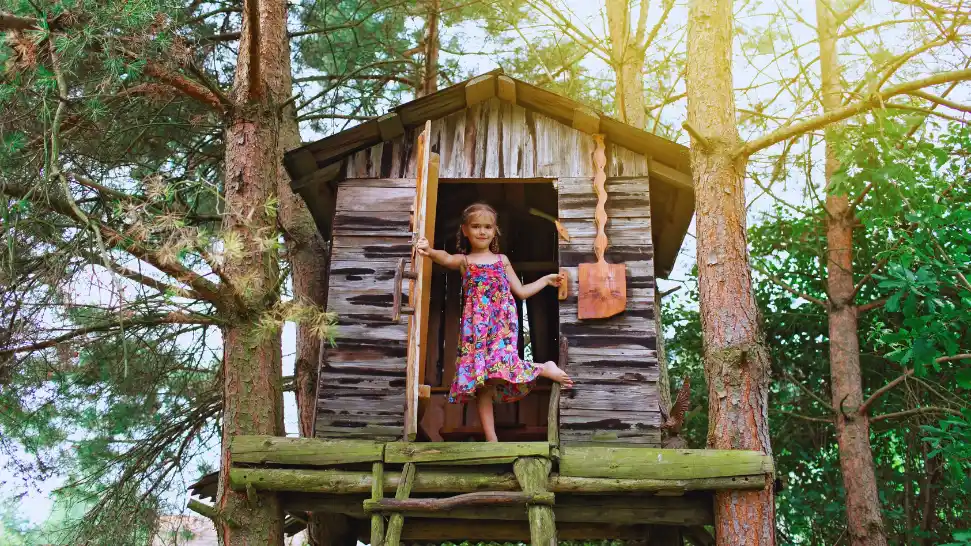 Tree House Stay is One of The Best Things to Do Wayanad