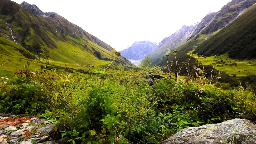 Valley Of Flowers Trek is One of The Best Trekking Places In India