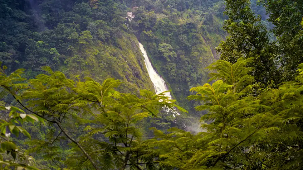 Bishop and Beadon Falls is One of The Best Waterfalls in Meghalaya  