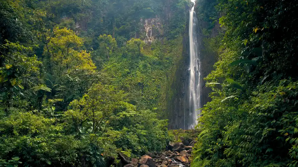 Sweet Falls is One of The Best Waterfalls in Meghalaya