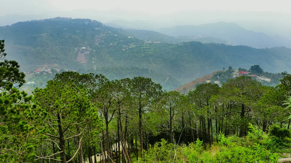 Kasauli