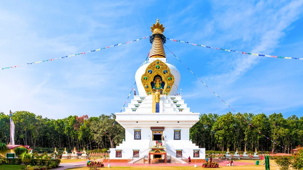 Dehradun is one of the best Weekend Getaways Near Chandigarh