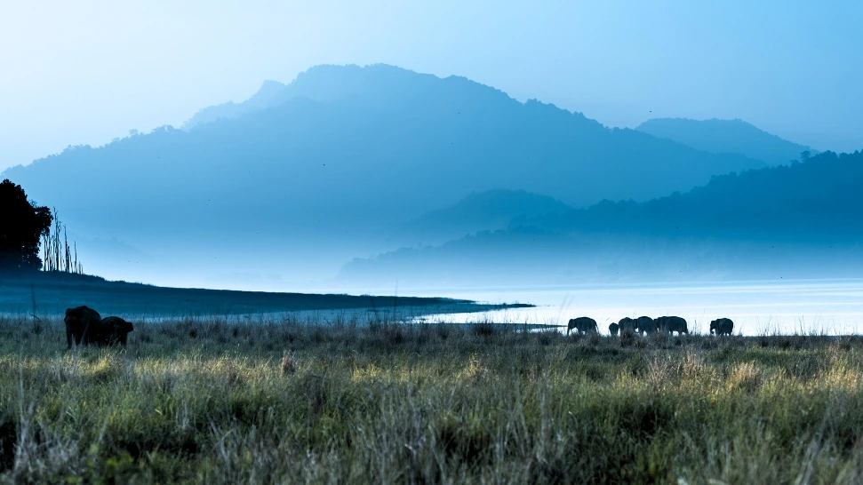 Jim Corbett is one of the best Weekend Getaways Near Chandigarh