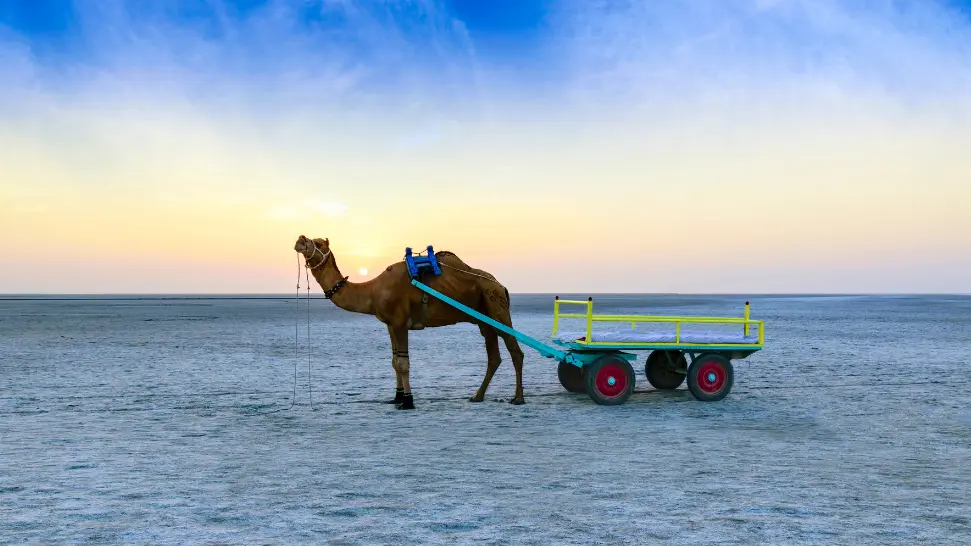 rann_of_kutch